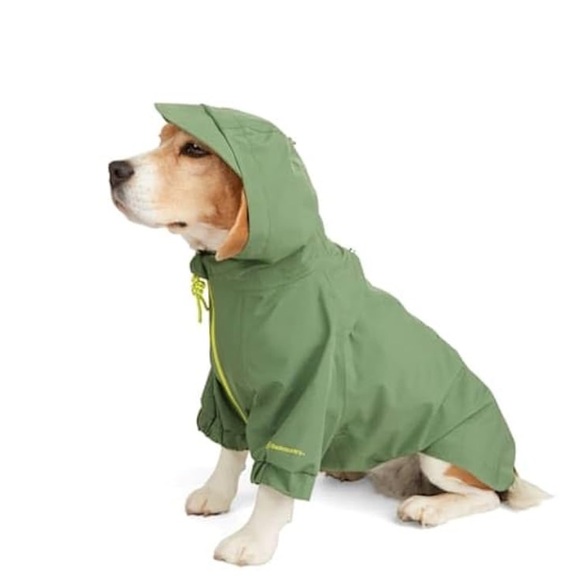 Backcountry Other - Backcountry x Petco dog rain jacket medium New green hoodie